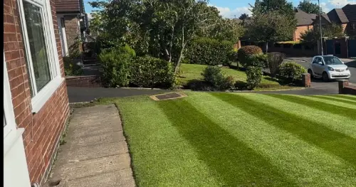 After lawn treatment
