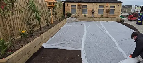 Before lawn treatment