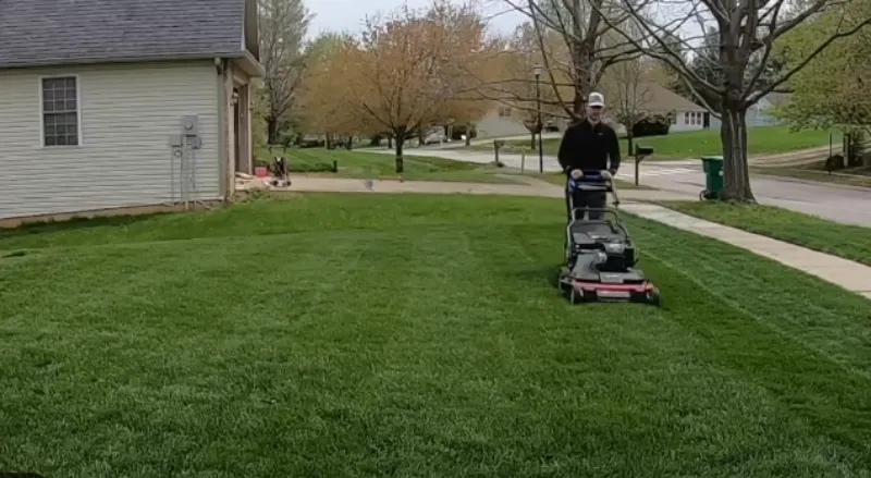 After lawn treatment