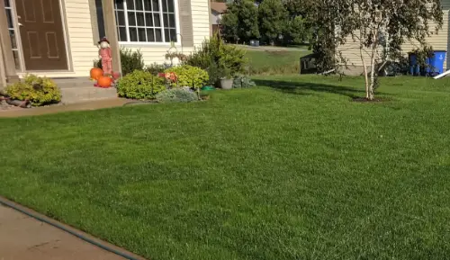 After lawn treatment