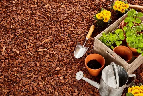 Landscaping and Mulch Montgomery AL